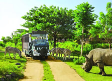 Vinpearl Safari in Phu Quoc Island