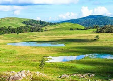 Virachey National Park in Stung Treng