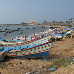 Vizhinjam Village in Kovalam