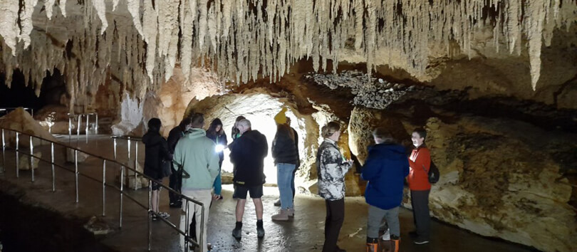 Waipu Caves