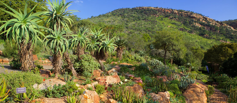 Walter Sisulu National Botanical Gardens