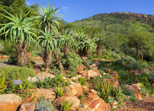 Walter Sisulu National Botanical Gardens