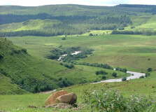 Weenen Nature Reserve in Kwazulu Natal