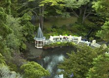 Wellington Botanic Gardens in Wellington