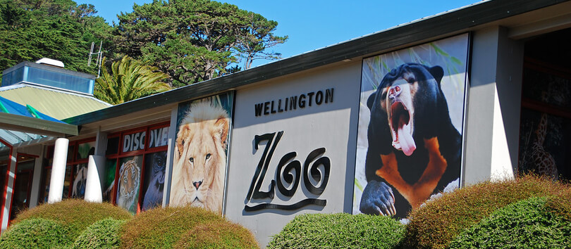 Wellington Zoo