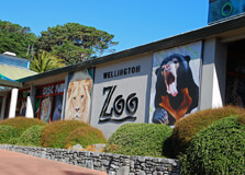 Wellington Zoo in Wellington