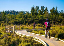 West Coast Wilderness Trail in West Coast