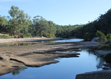 White Mountains National Park in Brisbane