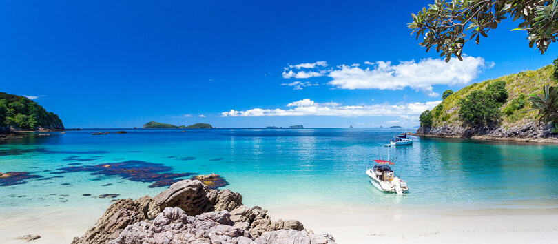 Whitianga Beach