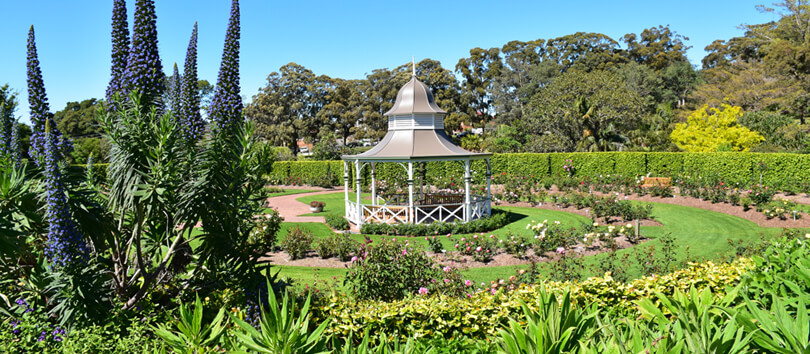 Wollongong Botanic Garden