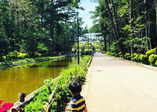 Wright Park in Baguio