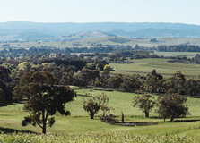 Yarra Valley in Victoria (Australia)