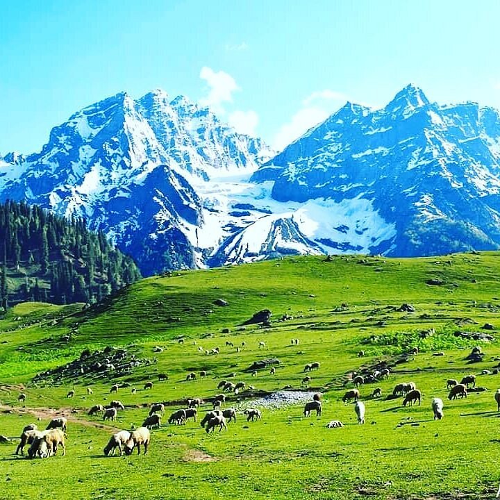 Zoji La Pass in Sonamarg