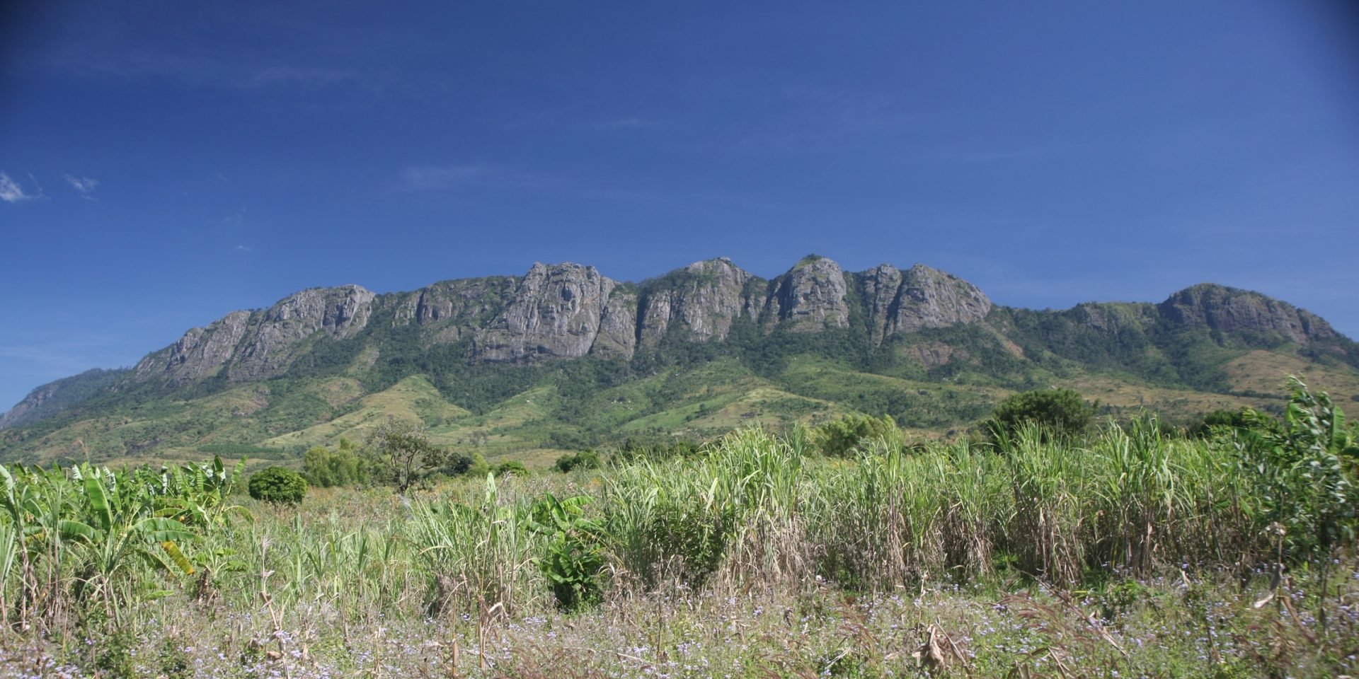 Zomba Plateau - The Oasis of Serenity