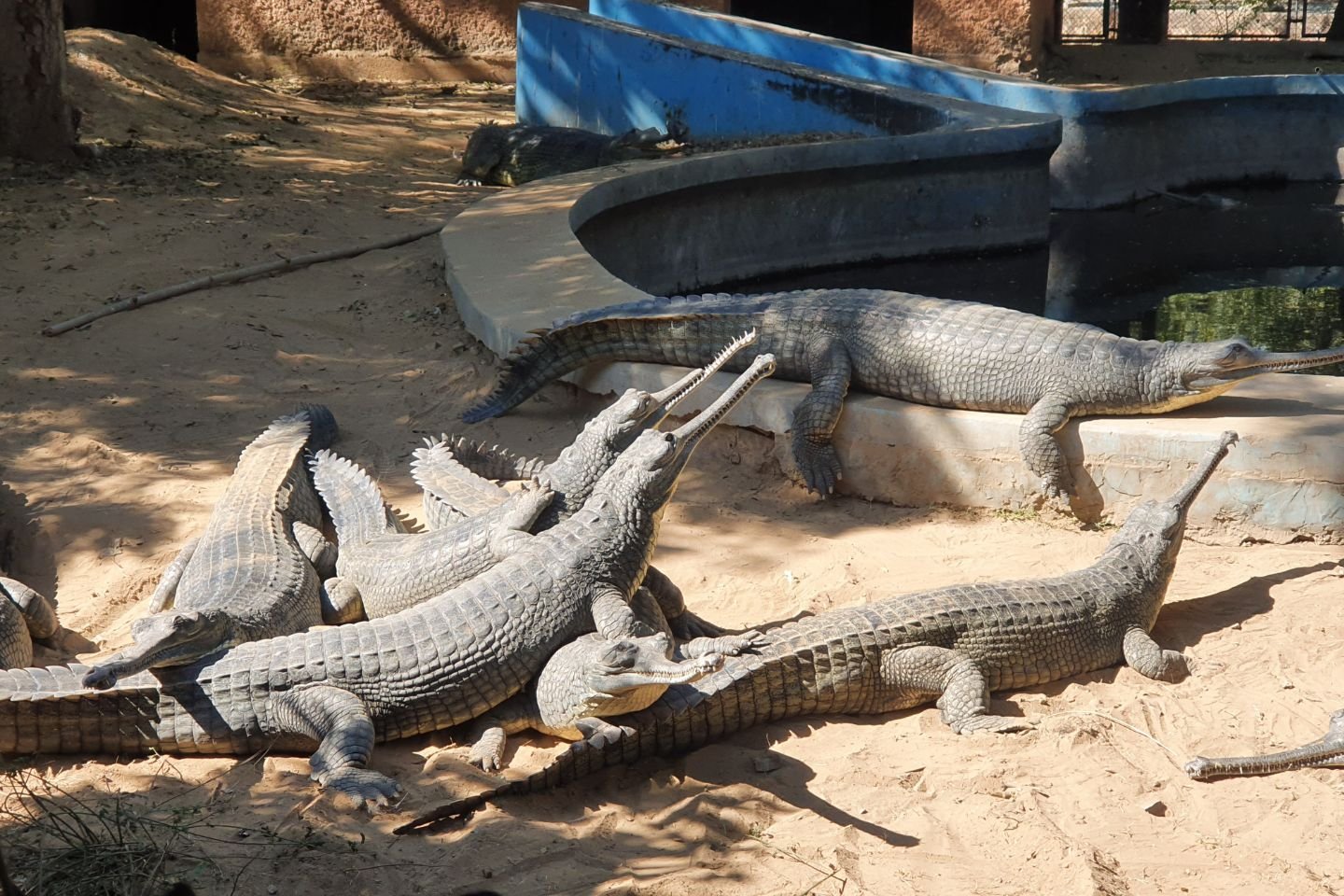 Zoological Garden in Jaipur