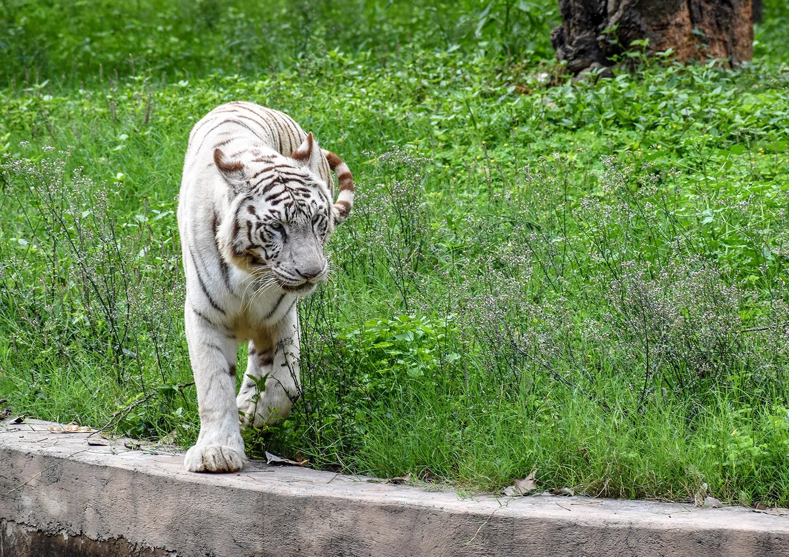 Tourist Places in Delhi