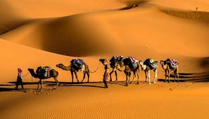 Top desert safari tour packages for adventure