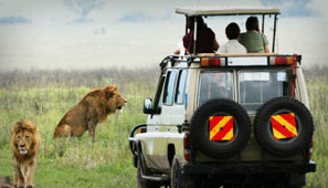 Top jeep safari tour packages for off-road adventure