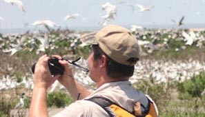 Top bird watching tour packages for nature lovers