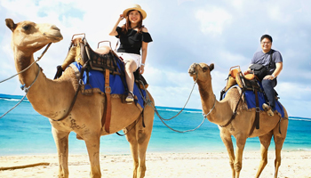Top camel safari tour packages for desert adventures