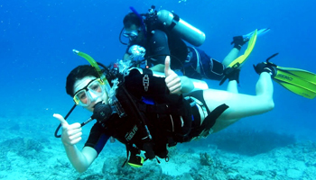 Top diving tour packages for underwater exploration