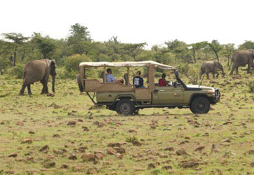 Game Drives Tour Package