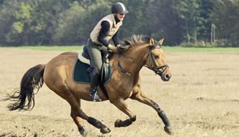 Top horse riding tour packages for outdoor fun