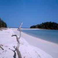 Andaman Holiday Packages