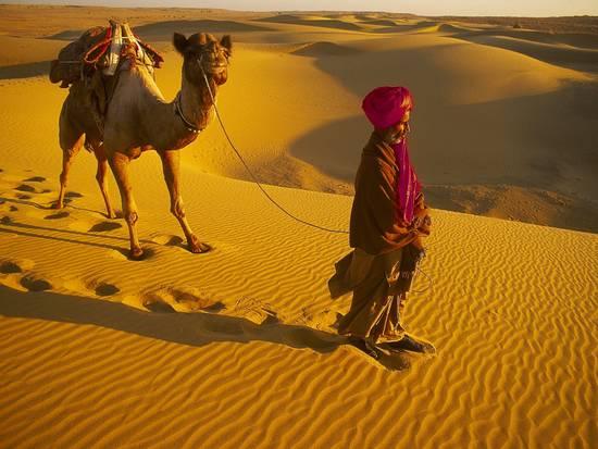 Explore The Thar Desert Tour