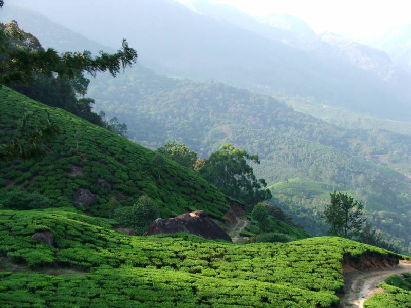 Explore Hill Of Kerala Tour