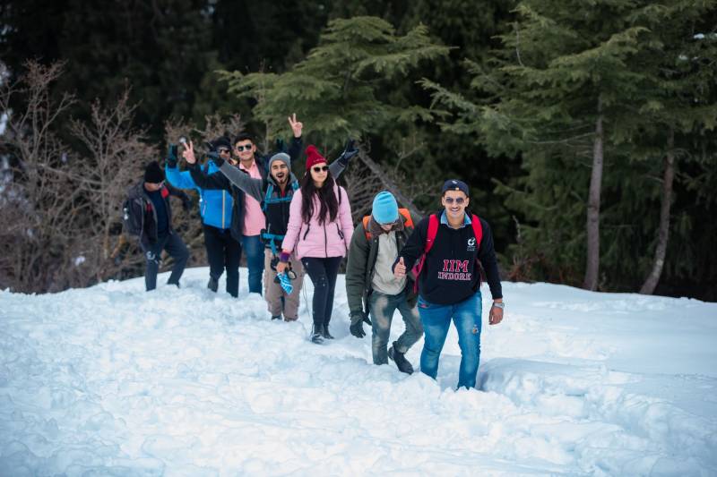 03 Nights 04 Days Camp In Manali Image