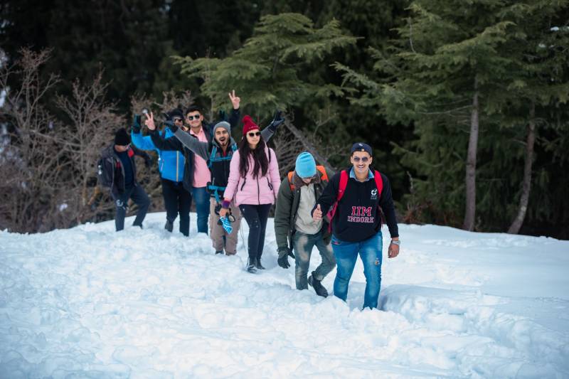 One Day Manali - Lamadugh Meadows Tour Package