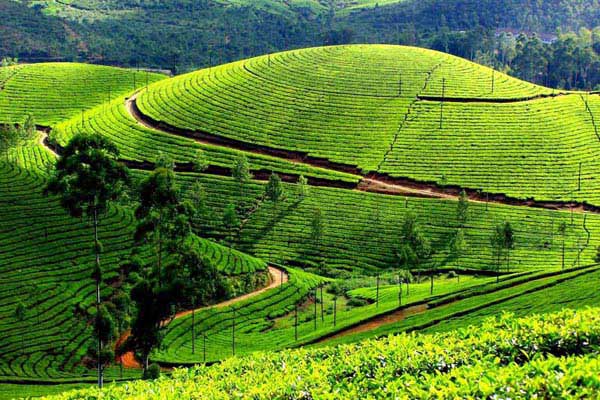 Spicy Kerala Tour Package