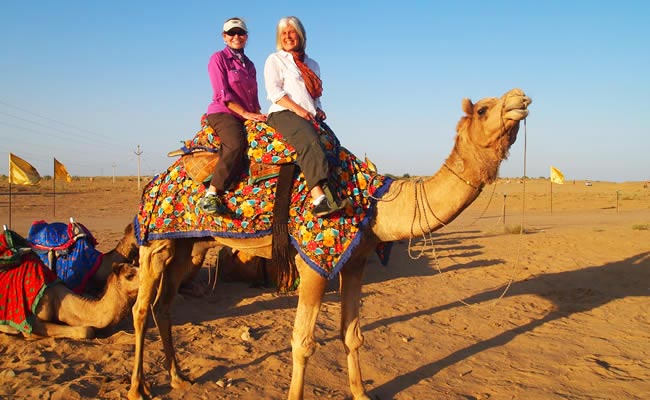 Camel Safari Tour In Rajasthan
