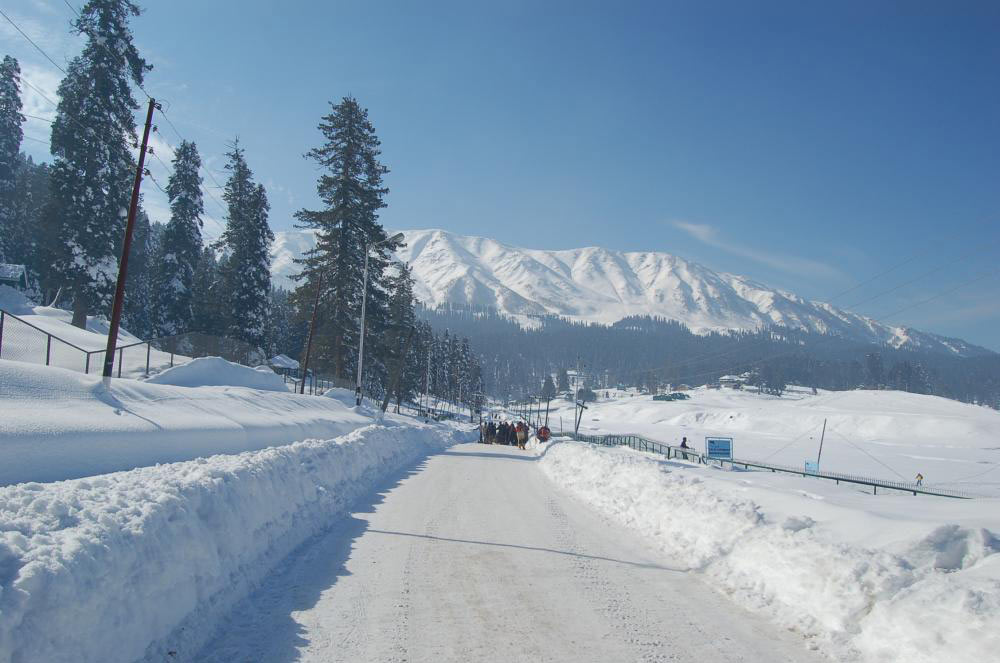 Honeymoon Tour (7 Nights & 8 Days)