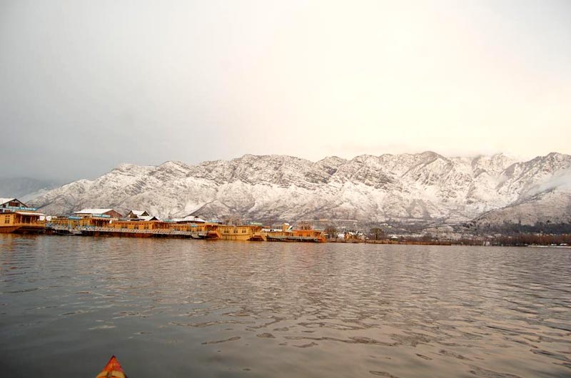 Meadow of Kashmir Tour