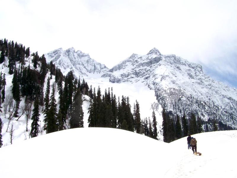 Kashmir Paradise Tour (6 Nights & 7 Days)