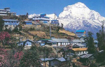 Kathmandu - Pokhara - Chitwon Tour