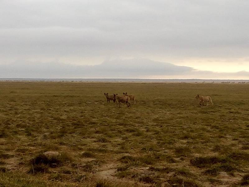 Best of Kenya Package