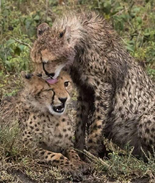 Best of Kenya Package