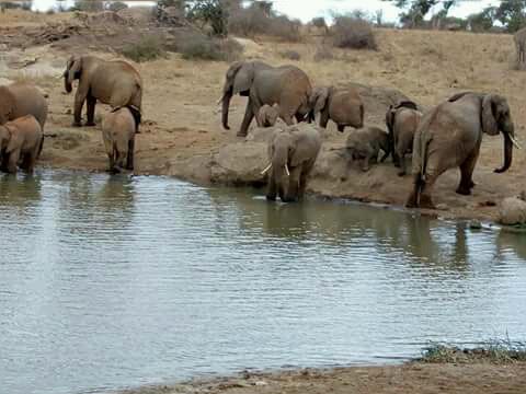 Best of Kenya Package