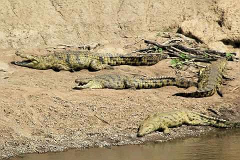 Best of Kenya Package