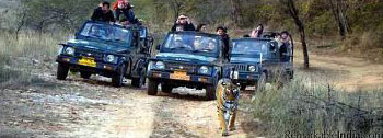 Golden Triangle With Ranthambhore Tour