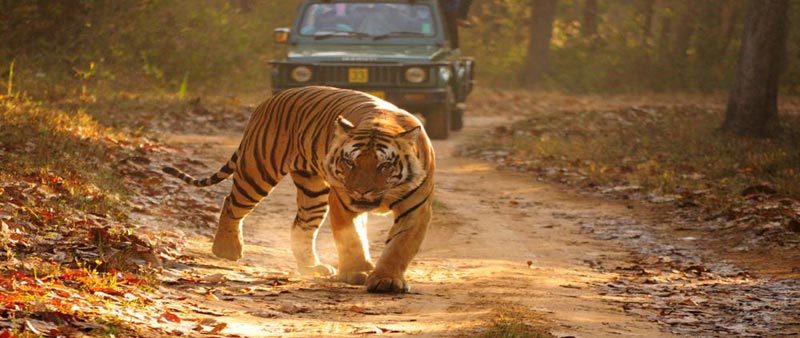 Luxury 10 Days Golden Triangle & Ranthambore Package