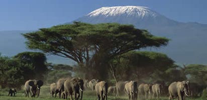 5-Four Days 3 Nights Amboseli, Lake Naivasha, Lake Nakuru Tour