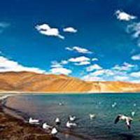 Ladakh Tour with Golden Temple