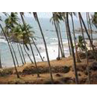 Goa Spring Non A/C Guest House Holiday Package (AP Plan)