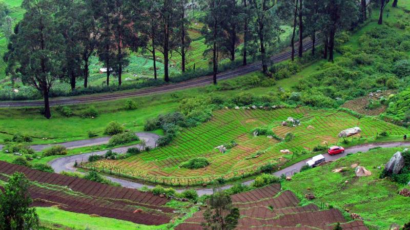 1 Night Mysore 1 Night Ooty Tour Package From Bangalore