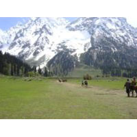 Kashmir Tour Packages