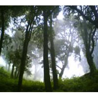 Delhi - Nainital - Corbett - Haridwar - Mussoorie - Delhi Tour Package